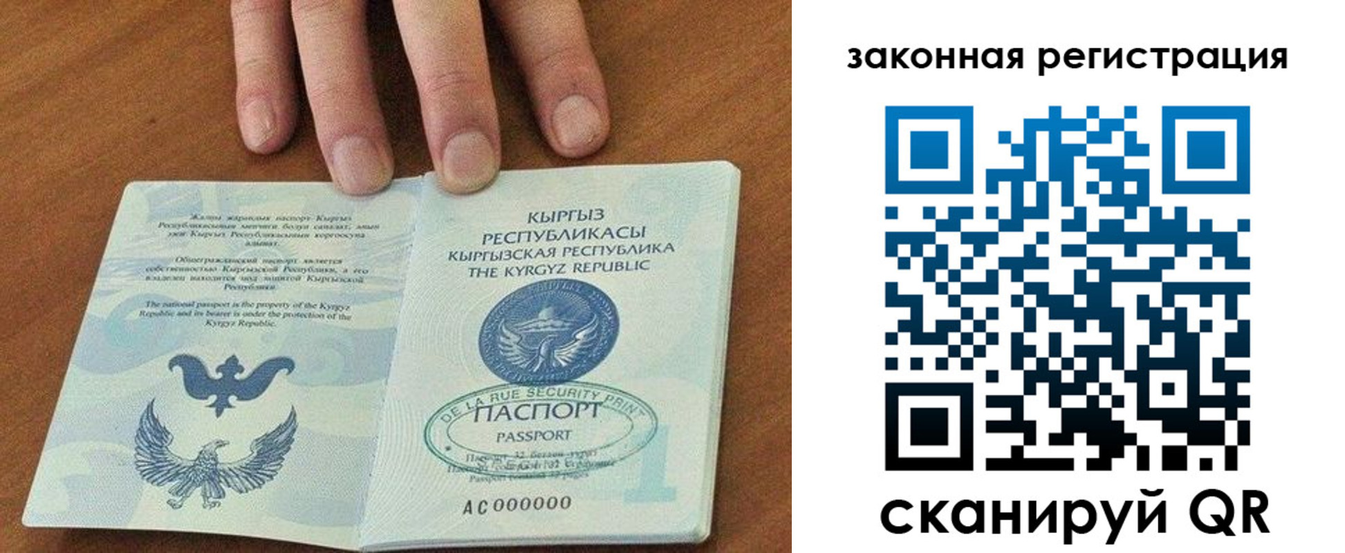 прописка гарантия в Александрове